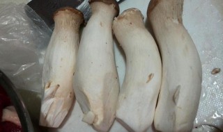 烤箱如何做鸡腿菇（烤箱如何做鸡腿菇好吃）