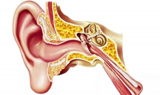 耳屎掏不出来怎么办（大块耳屎掏不出来怎么办）