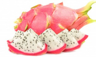 火龙果与仙人掌有哪些差异 火龙果和仙人掌果有什么关系