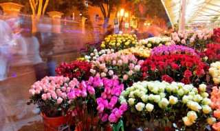 送女朋友花贺卡情话 送女朋友花贺卡情话15字