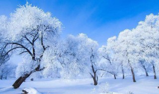 冬天朋友圈的优美文案 关于冬天的文案朋友圈