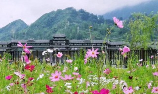 抖音上的立春优美语句 立春祝福语抖音