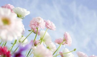 年末客户问候短信（年末客户问候短信怎么发）