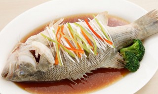 葱烧海鲈鱼如何做（葱烧海鲈鱼如何做好吃）