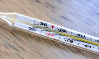 温度计水银撒地上怎么办(温度计水银撒地上怎么办用面粉盖住)