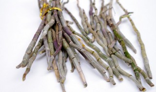 鲜条石斛使用方法 鲜条石斛使用方法视频