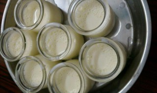酸奶馅制作方法 自制酸奶馅料