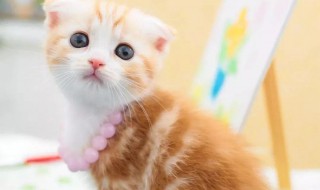 拒绝冷漠的经典句子（关于拒绝冷漠的句子）