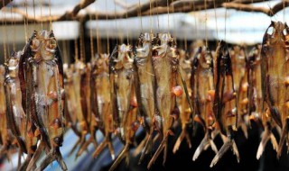 纯鱼肉家庭晒鱼干方法（简单晒鱼干的方法）