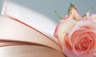 哲理人生感悟名句最新（名句 人生哲理）