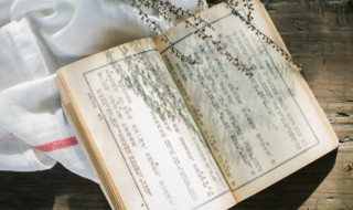 人间四月天的经典名句 你是人间四月天的经典名句