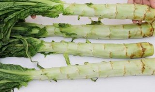 窝笋怎么挑选 莴笋怎么挑选嫩的