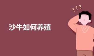 沙牛养殖方法 沙牛的养殖方法