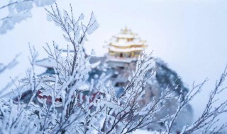 雪景很美的朋友圈说说（发朋友圈的雪景美句）