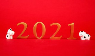 告别2020迎接2021感悟（告别2020迎接2021心得体会）