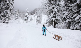 下雪孤单伤感的句子 下雪了感觉孤单的句子