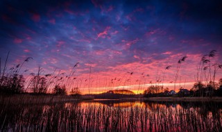 水中倒影的人生感悟 水中倒影反思