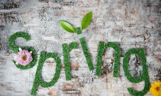 春天激励人的短语大全（春天激励人的短语大全英语）