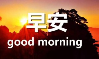 早安最美问候语 早安最美问候语心情