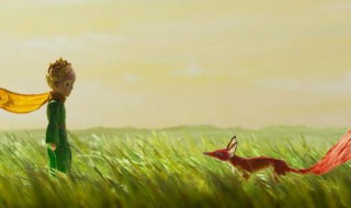 小王子中关于友情的句子（小王子中关于友情的句子英语）