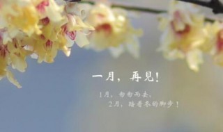 一月再见二月你好说说（一月再见,二月你好说说）