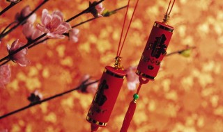 描写春节的片段作文优秀（描写春节的优美文段）