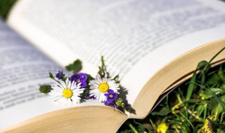 描写春天美景的短句子 描写春天美景的短句子15字