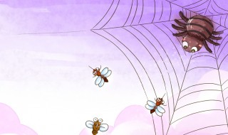 家里有大蜘蛛怎么办 家里有大蜘蛛怎么办?