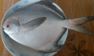 镜鱼怎么做好吃（干烧镜鱼怎么做好吃）