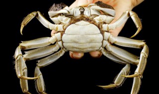 盘锦河蟹怎么保存 盘锦河蟹怎么保存活得久一点