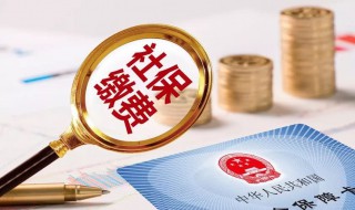 怎么申请社保卡（怎么申请社保卡电子版）