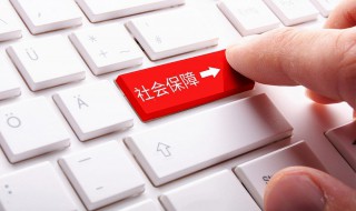 农村社保怎么交最划算（农村社保怎么交最划算呢）