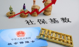 怎么查社保有没有交（怎么查社保有没有交生育险）