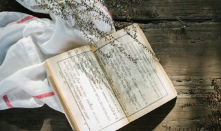 域的拼音和组词 域的拼音和组词和部首