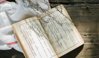 木的组词 木的组词一年级