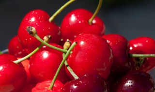黑樱桃是车厘子吗 黑樱桃就是车厘子吗