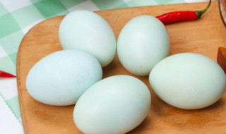 海鸭蛋和普通鸭蛋的区别是什么 海鸭蛋与普通鸭蛋有什么区别