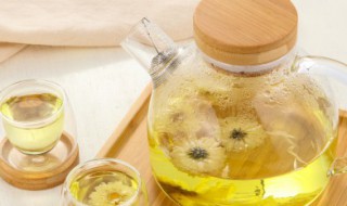 胎菊和杭白菊的区别是什么（胎菊与杭白菊的功效与作用区别）