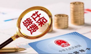 自己缴纳社保怎么交（外地人离职了自己缴纳社保怎么交）