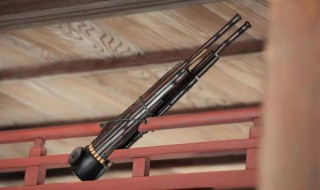 世界上最早使用自由簧的乐器是什么（自由簧乐器有哪些）