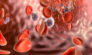 人体内数目最多的细胞是什么（人体内数目最多的细胞是什么组成的）