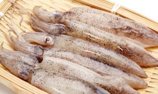 鱿鱼应该怎么去进行涨发(鱿鱼发过了怎么办)