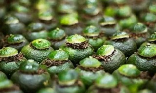 小青柑柑普洱茶的功效与作用（小青柑普洱茶功效和适用人群）