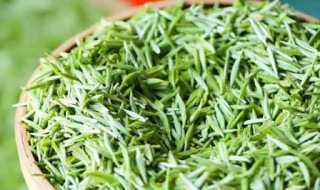 丫尖茶的功效与作用(丫尖茶的功效与作用及禁忌)