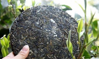 普洱生茶保存（普洱生茶保存方法）