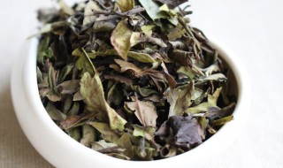 有机白茶属于什么茶种 有机白茶属于什么茶种子