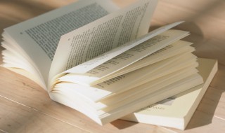 己卯岁除的意思（卯日是什么意思）