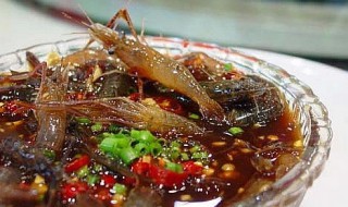 腌制醉虾用什么虾 腌制醉虾用什么虾最好