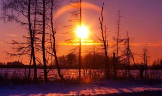 冬日暖心早安说说凡事不必太在意(早安说说语录)