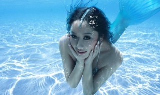 美人鱼的学名叫什么（美人鱼又叫什么鱼）